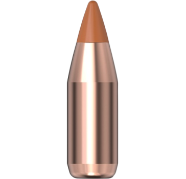 Hornady .172 NTX 15,5gr 100 Stück